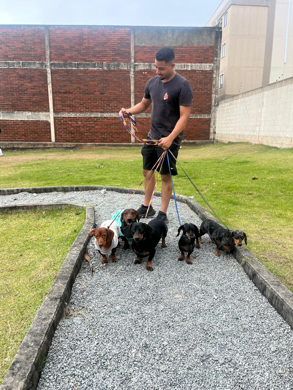 Passeio guiado