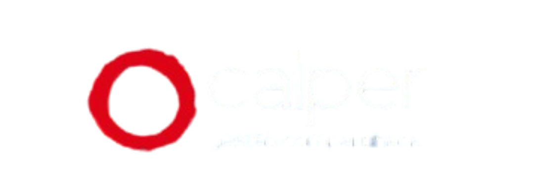 Logo 13